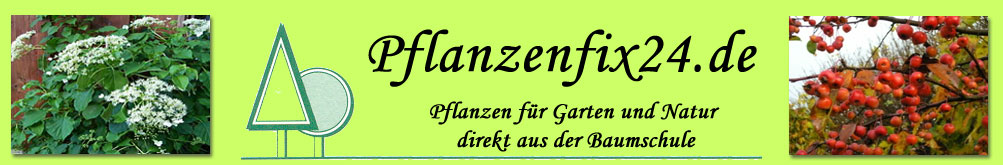 Pflanzenfix24.de